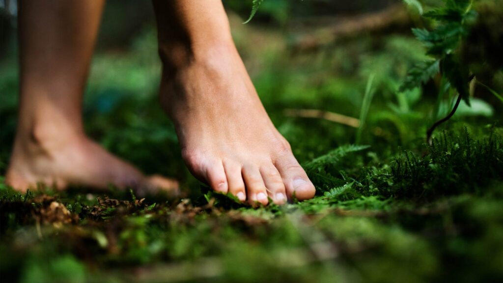 Bare Feet standing in lush ground